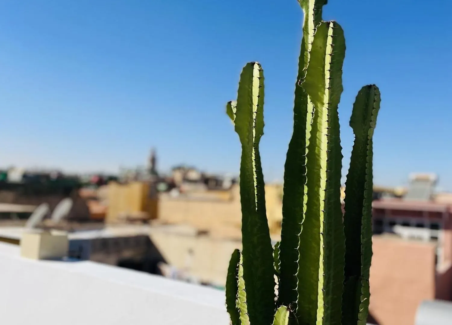 Riad Dar Bayane Marrakesh